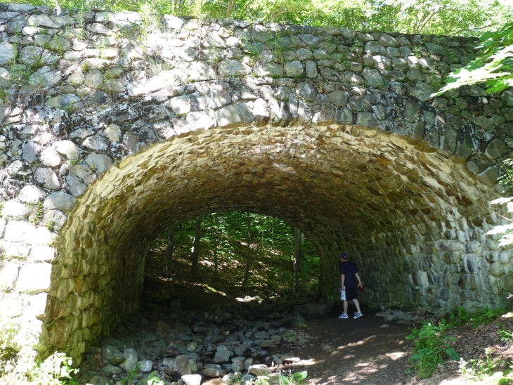 Arch None