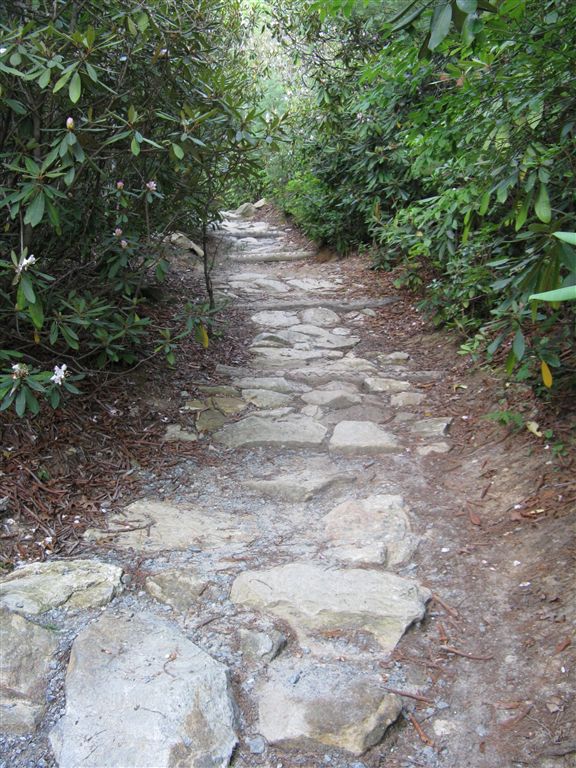 Armored Trail None