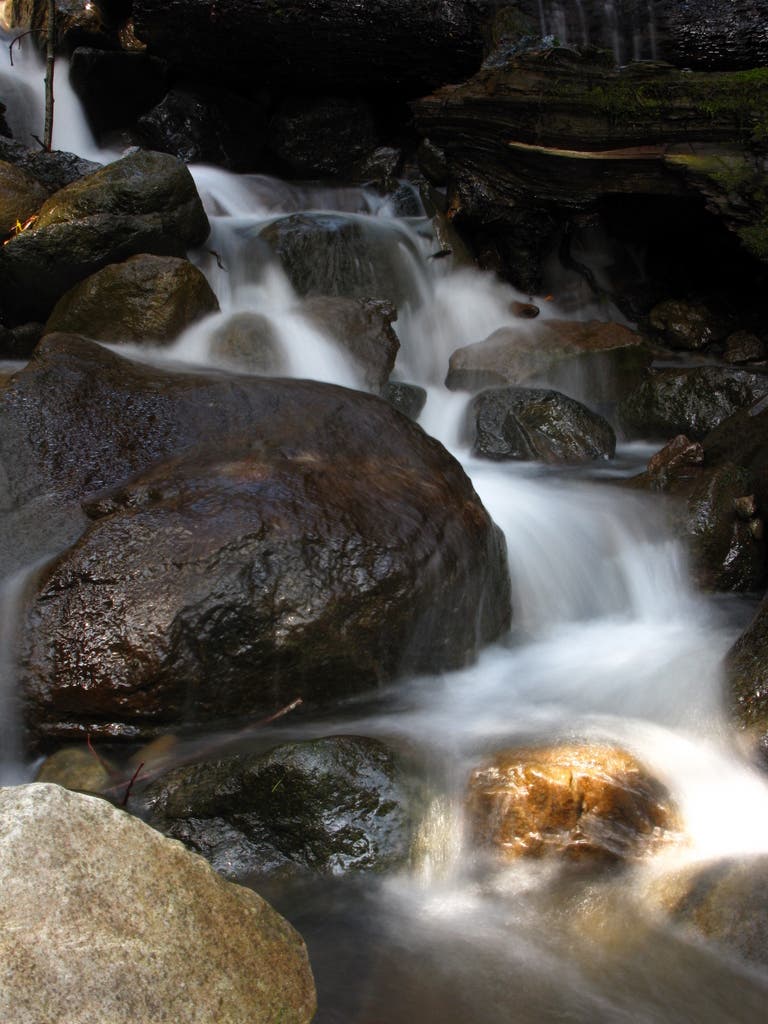 Around Greenleaf Falls None