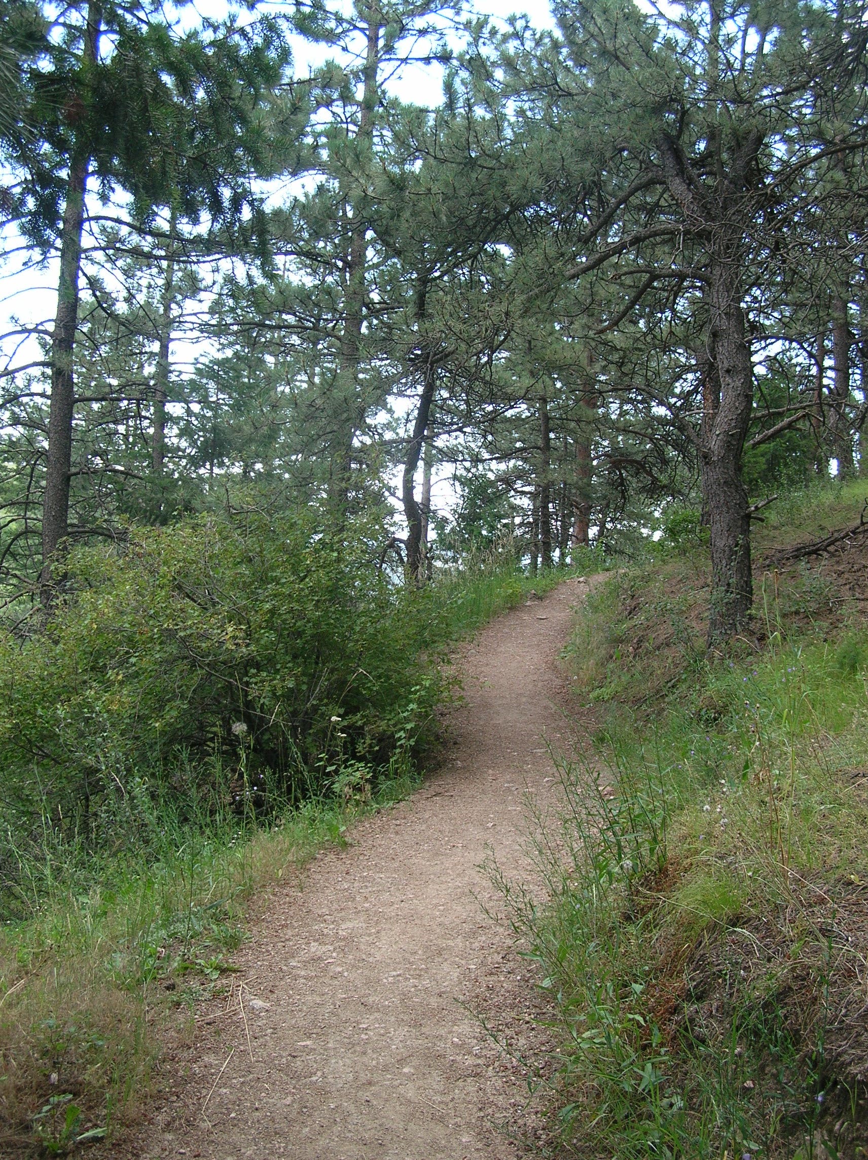 Arthurs Rock trail None