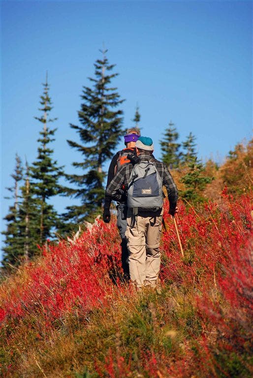 Ascending Crystal Peak None