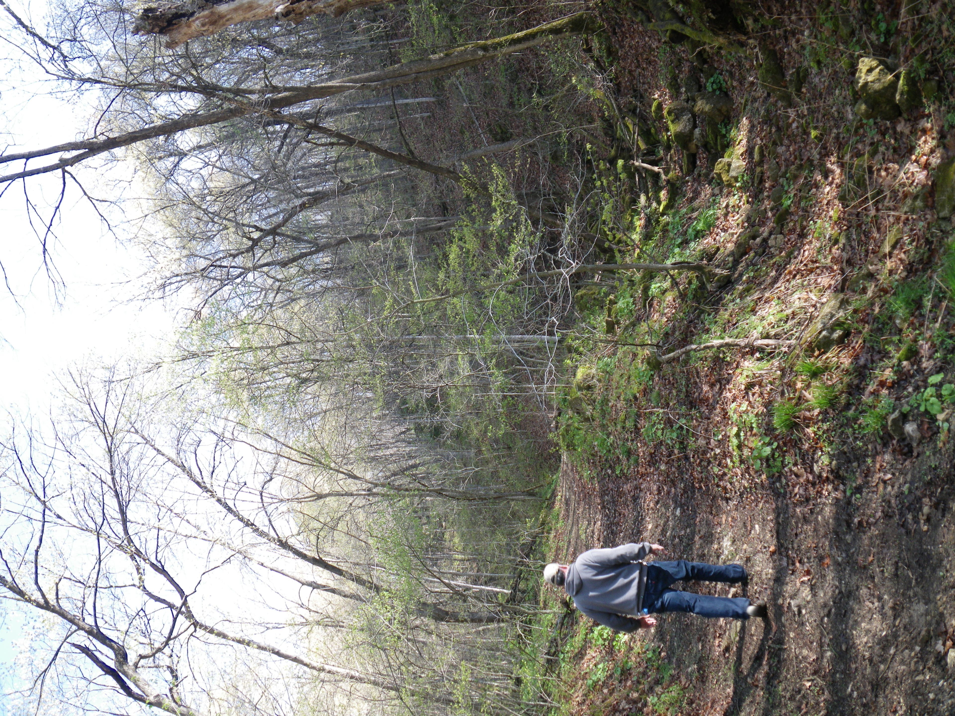 Ascending the valley None