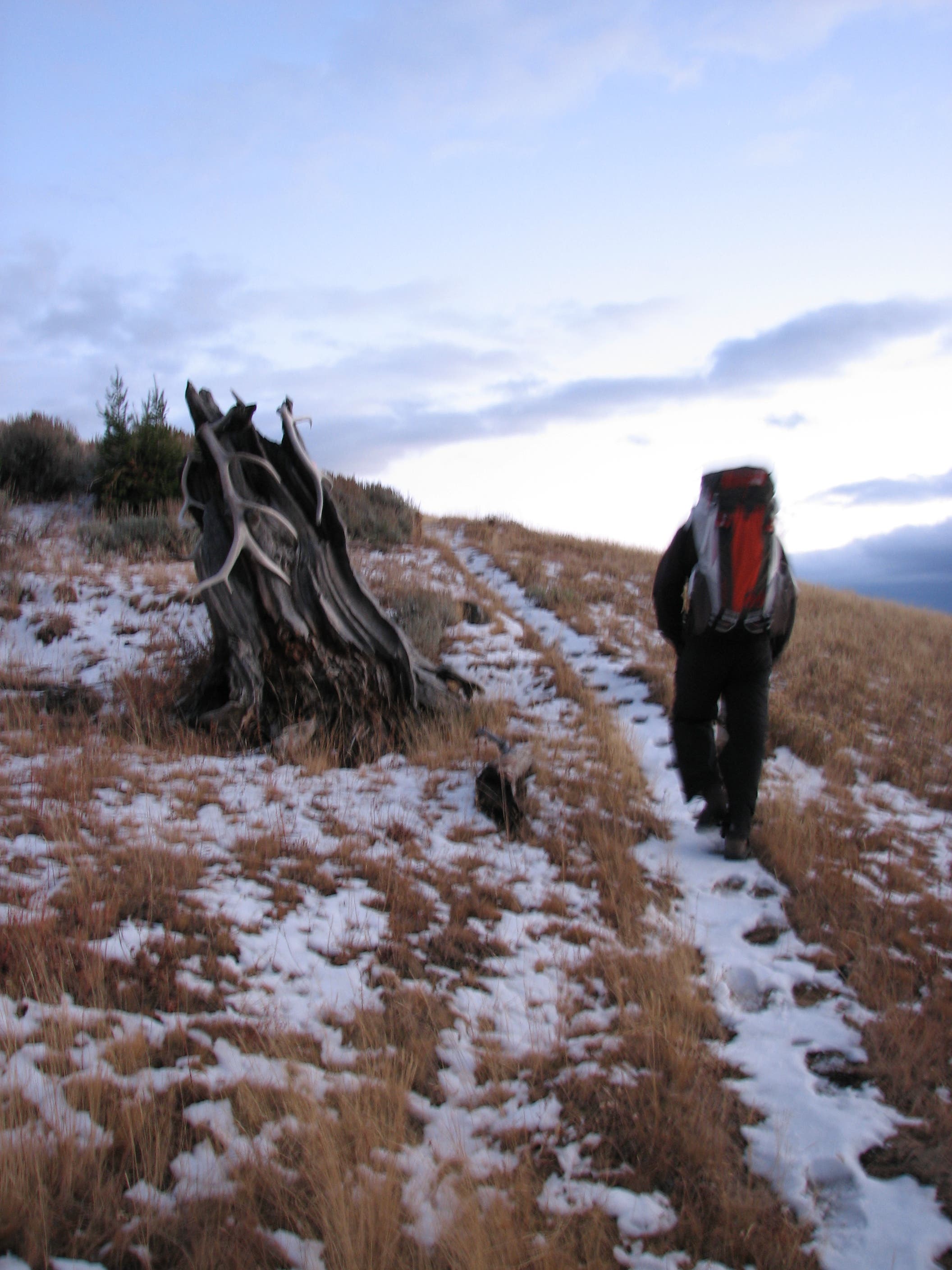 Ascent above Quartz Creek None