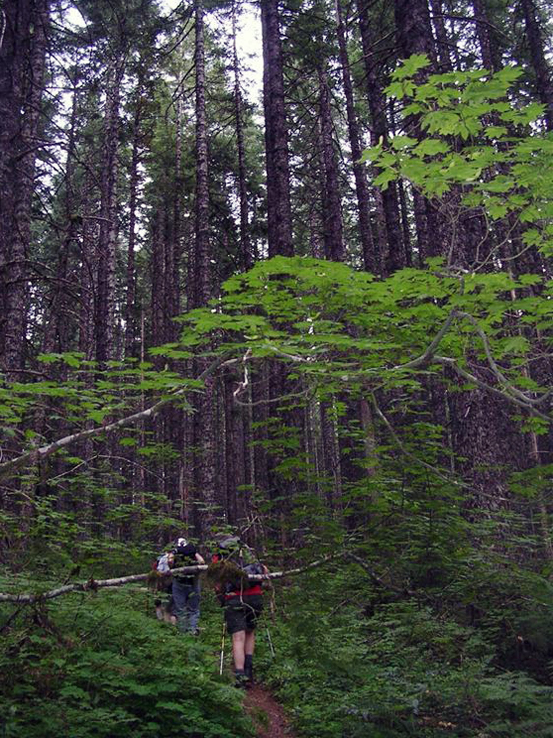 Ascent to Dublin Lake None