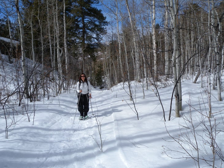Aspen None