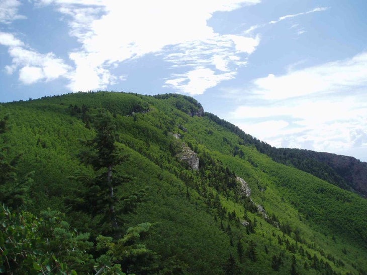Aspen Groves None