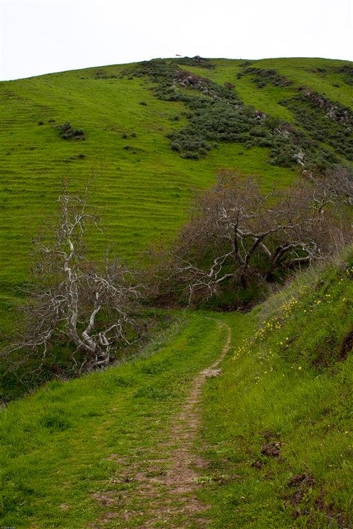 Auga Caliente Trail None