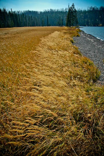 Autumn day at Shoshone Lake None