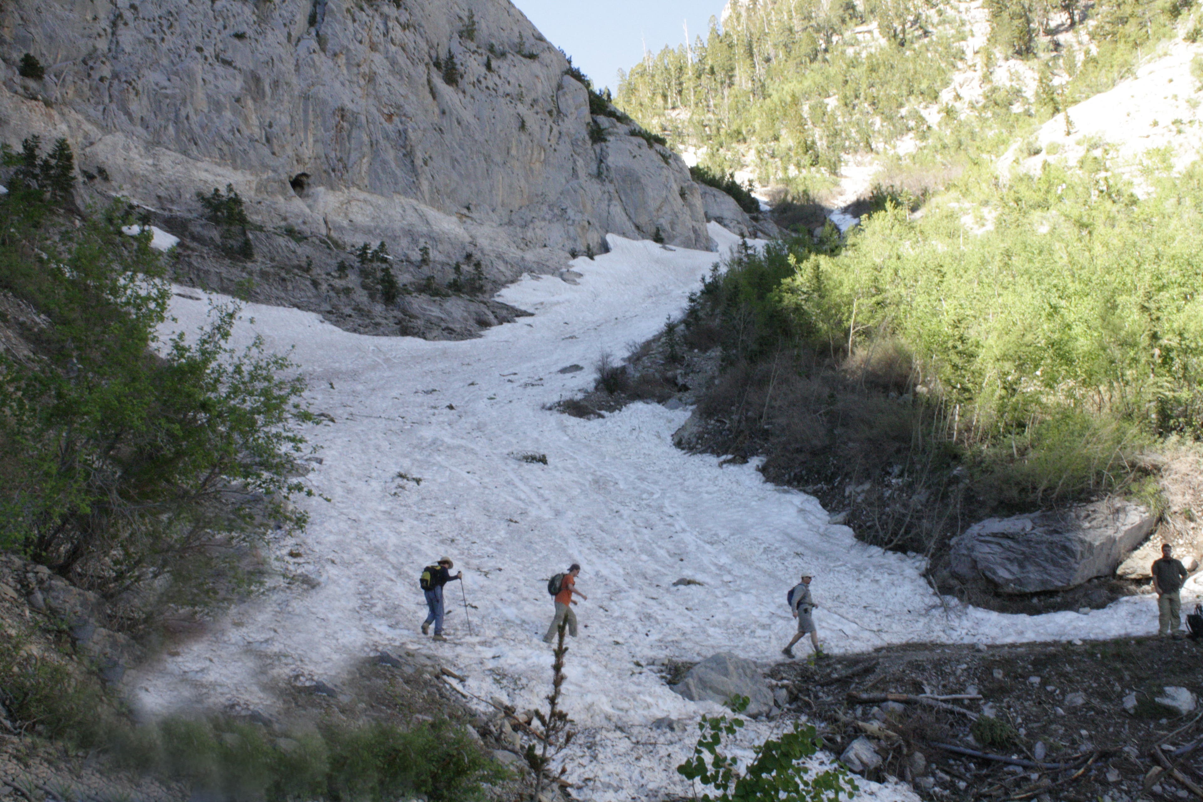 Avalanche Chute None