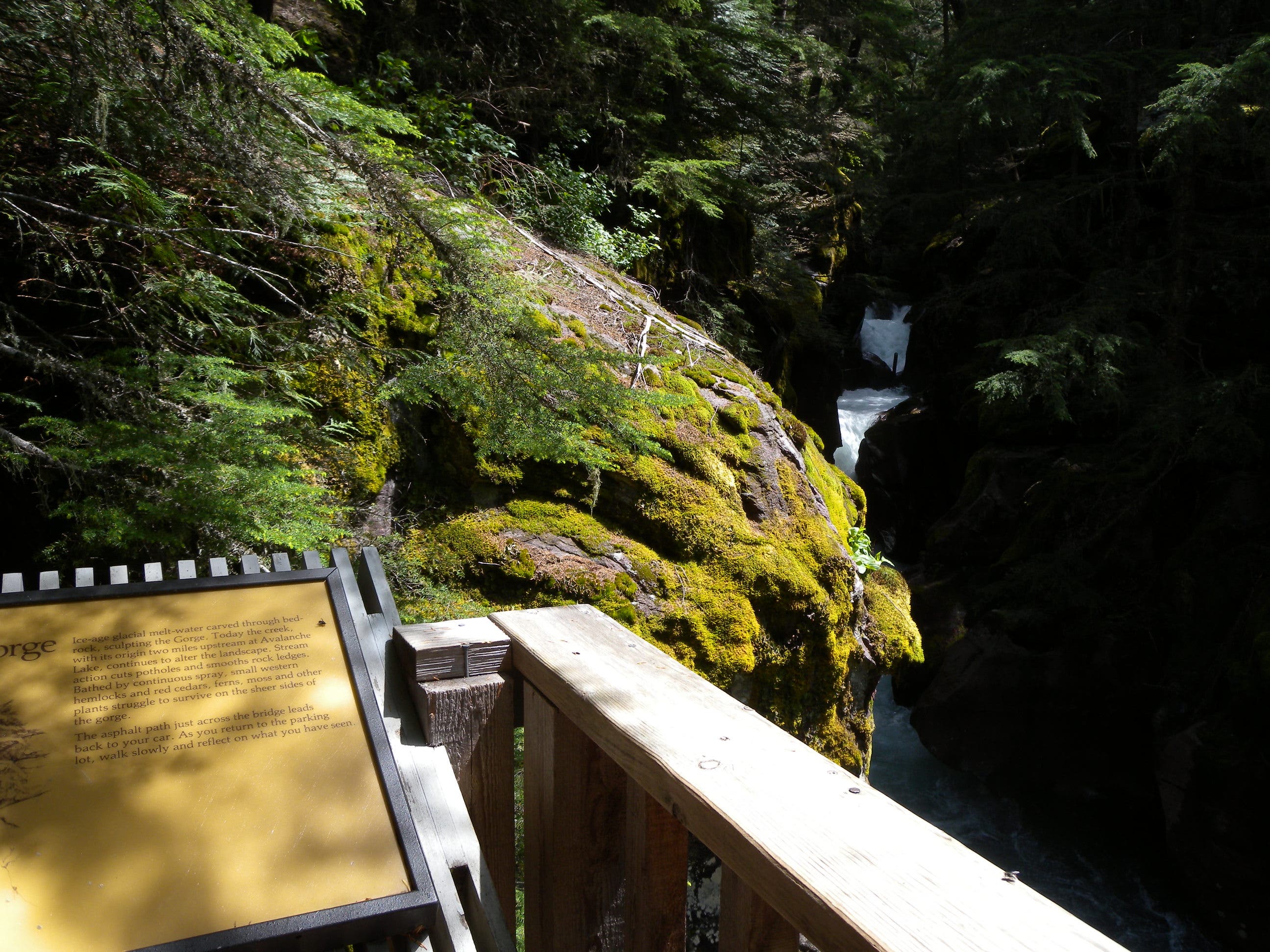 Avalanche Creek None
