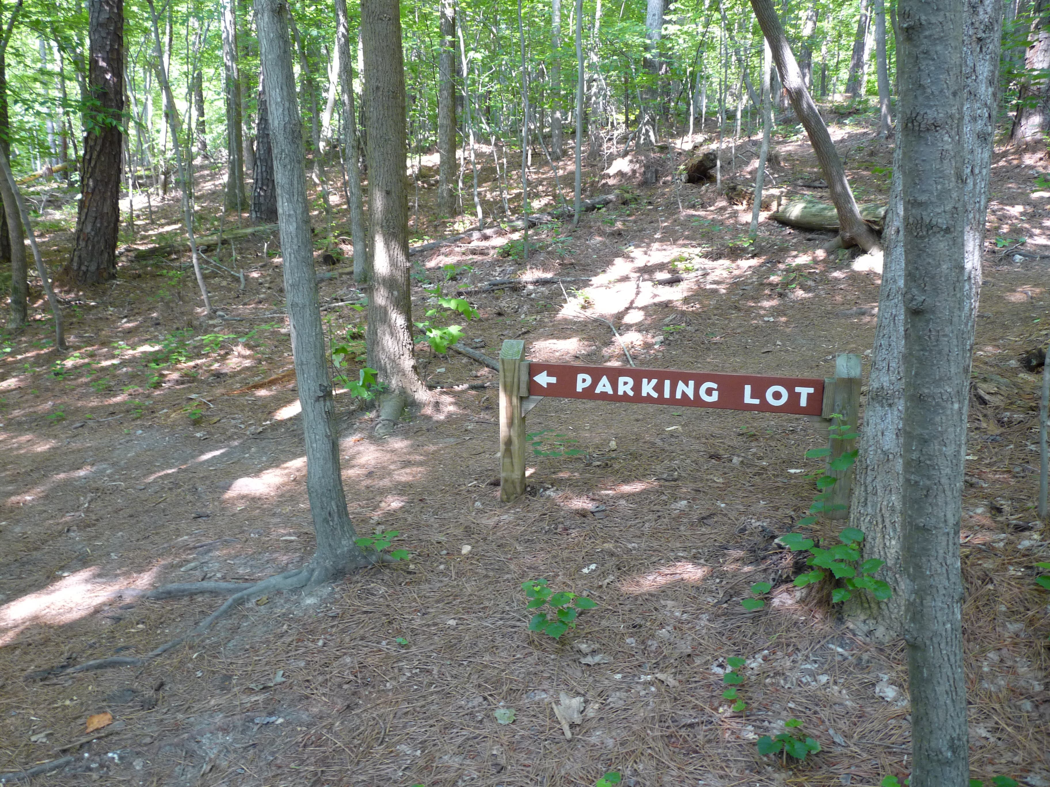 Back to the trailhead and parking lot None