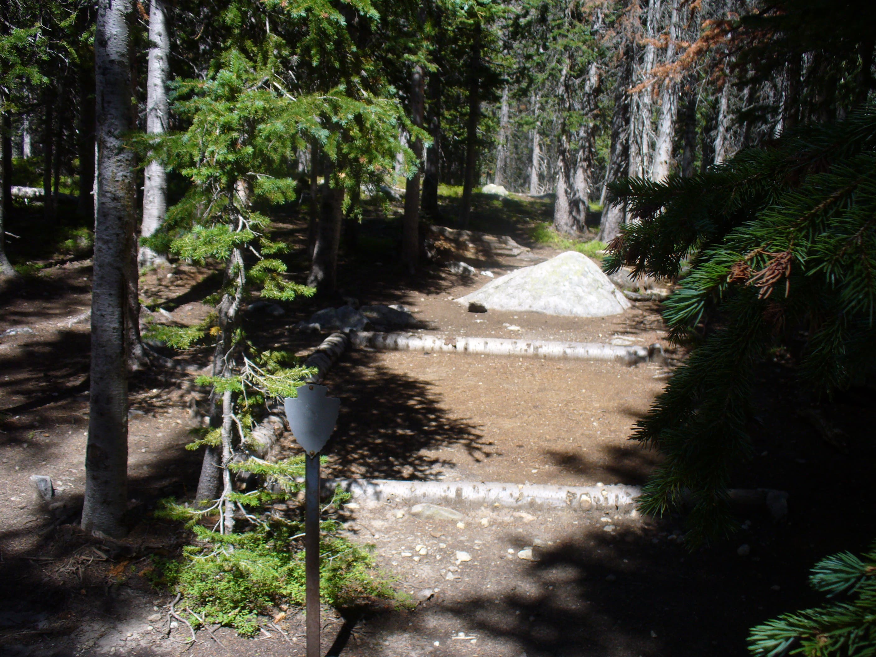 Backcountry Campsite None