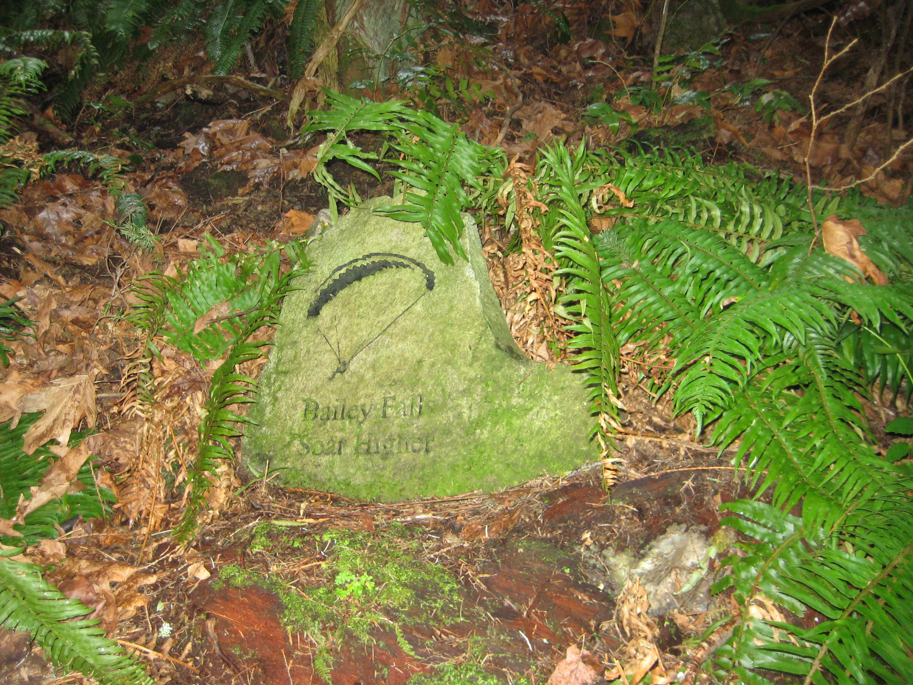 Bailey Falls Trail Marker None