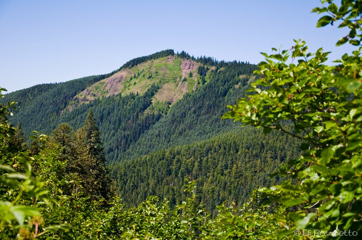 Bald Mountain None