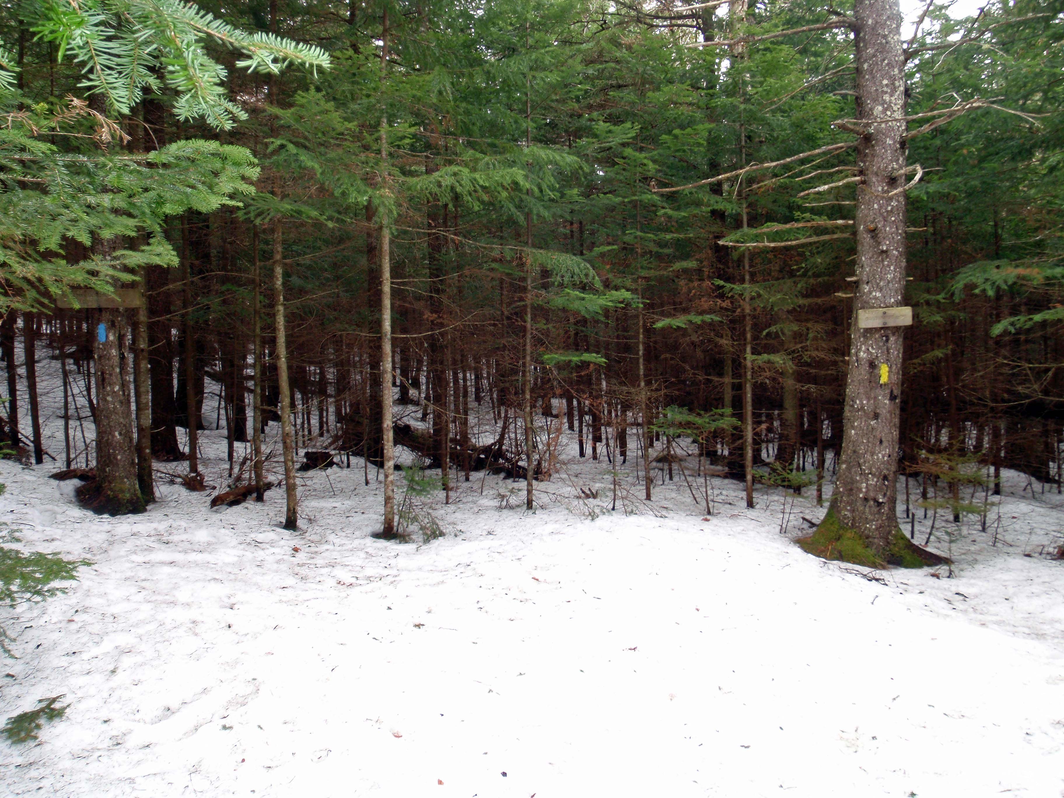 Bald Peak Junction. None