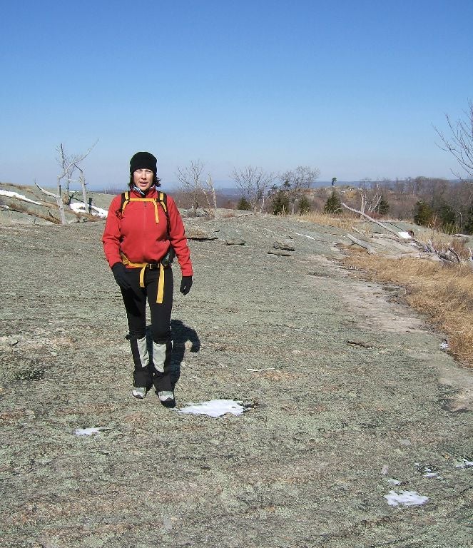 Bald Ridge None