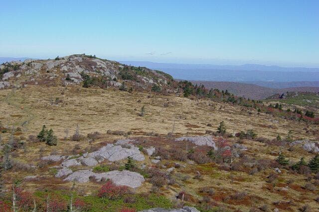 Balds of Wilburn Ridge None