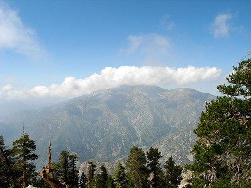 Baldy Bowl from Ontario None