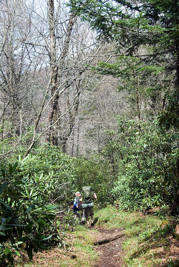 Balsam Mountain Trail None