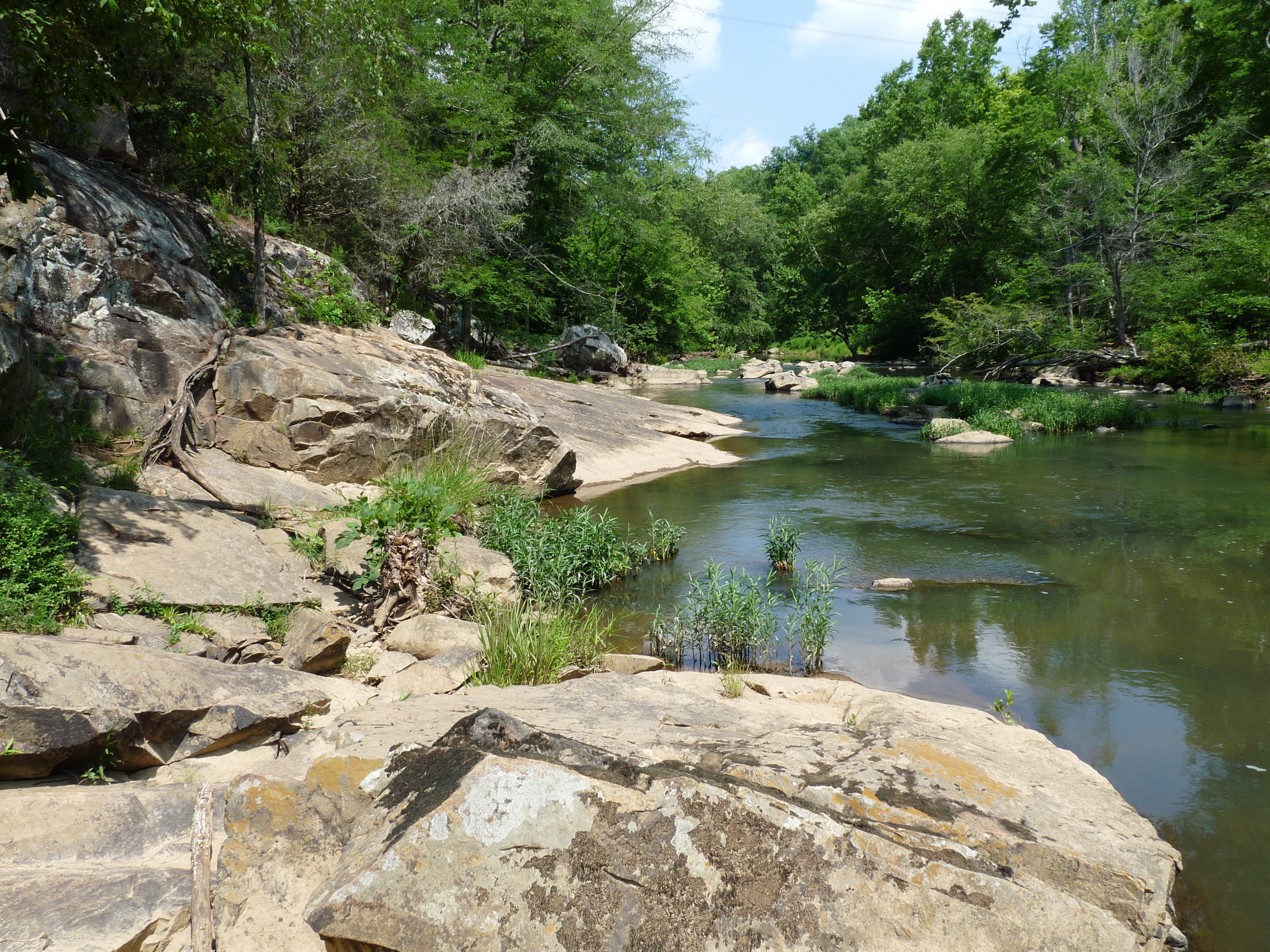 Banks of the Eno River None