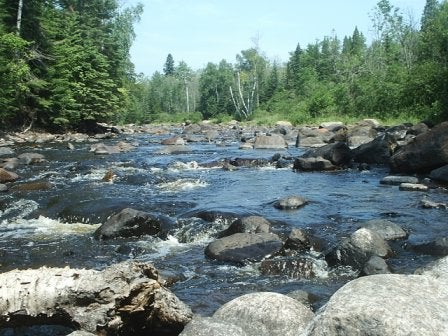 Baptism River None