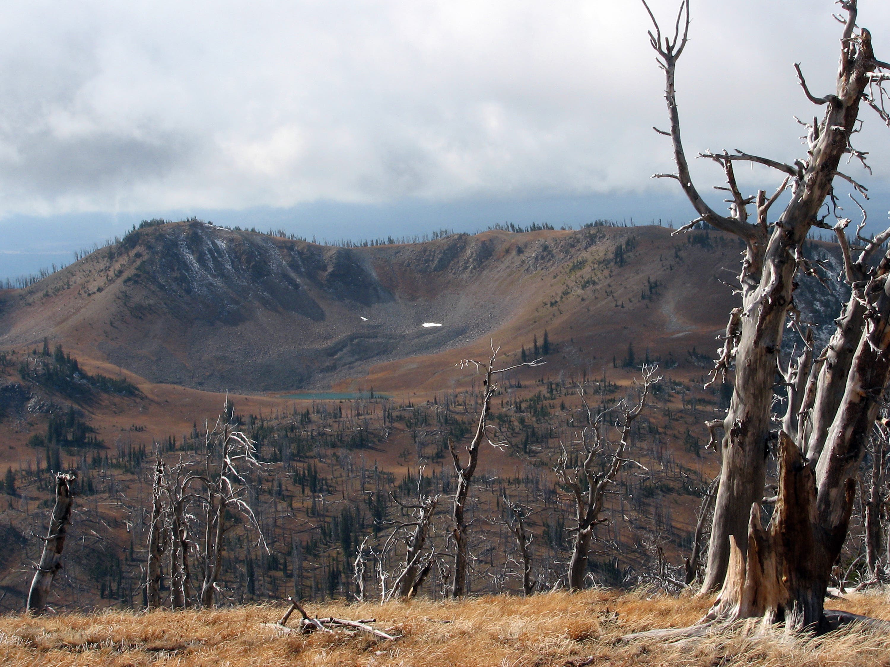 Barren Hillside None