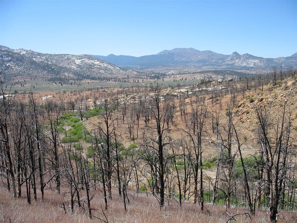 Barren landscape None