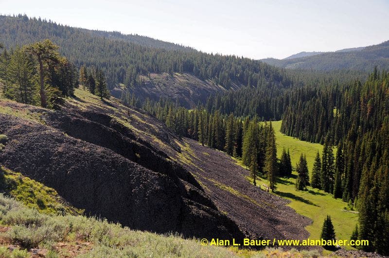 Basalt Cliffs in Naneum Creek Meadow None