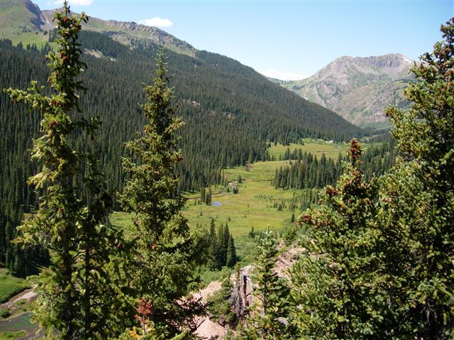 Basin Views None
