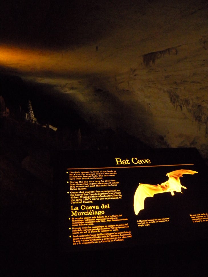 Carlsbad Caverns National Park Carlsbad Cavern