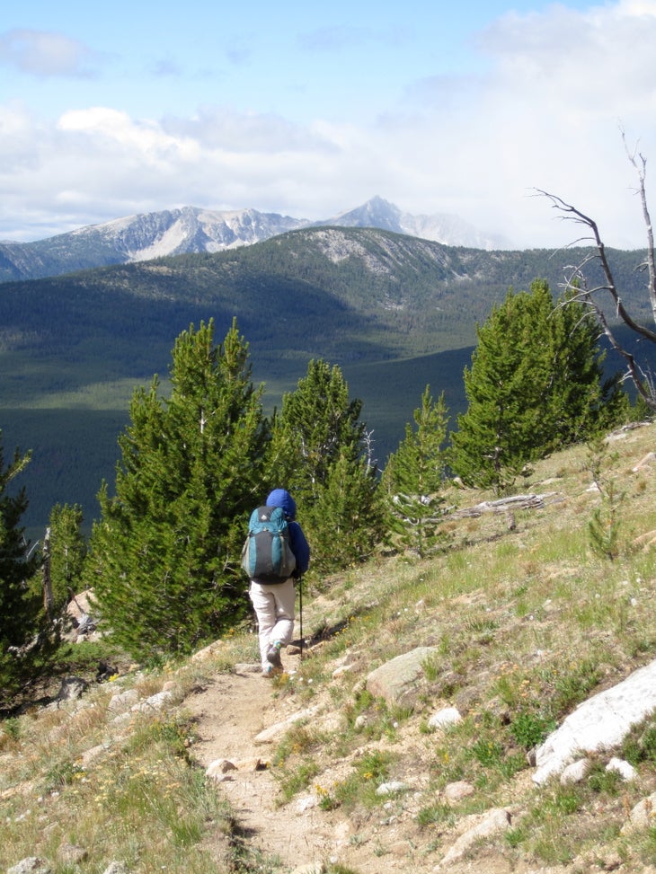 Baurerman Ridge None