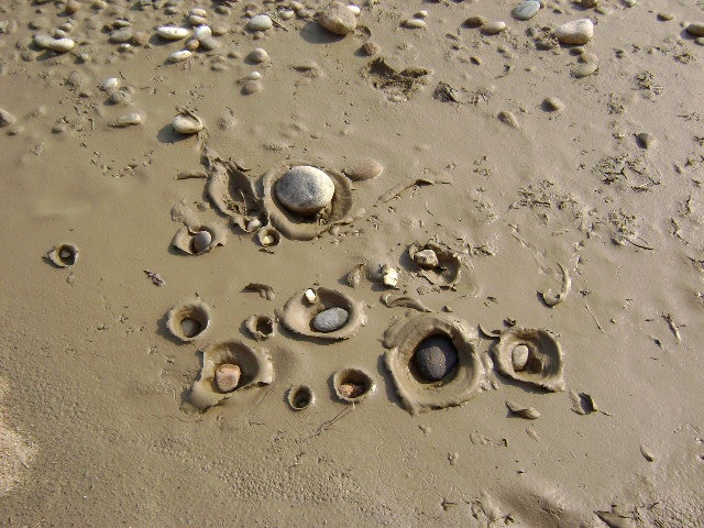 Beach Clay None