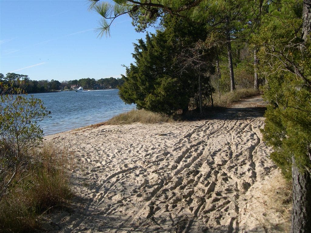 Beach Viewpoint None