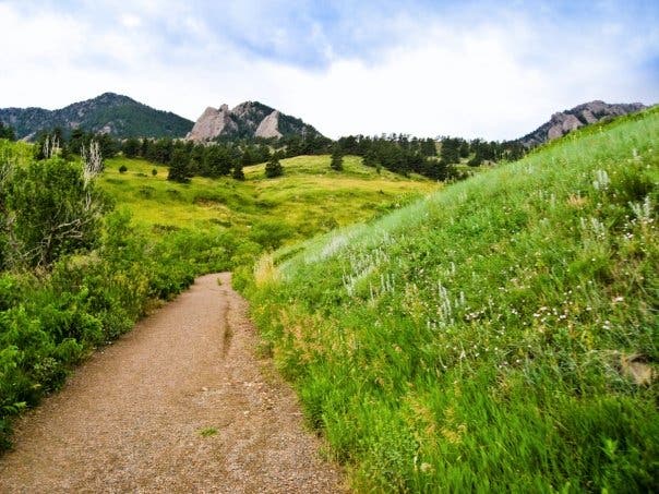 The trail into Bear Canyon. Looking down the steep, rocky trail into Bear Canyon.