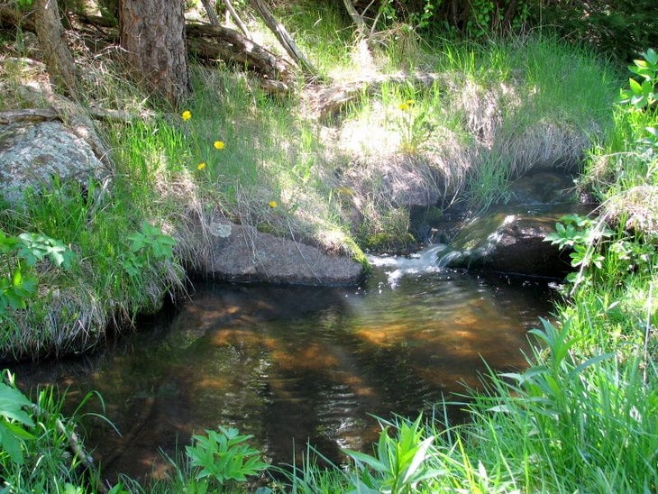 Bear Creek None