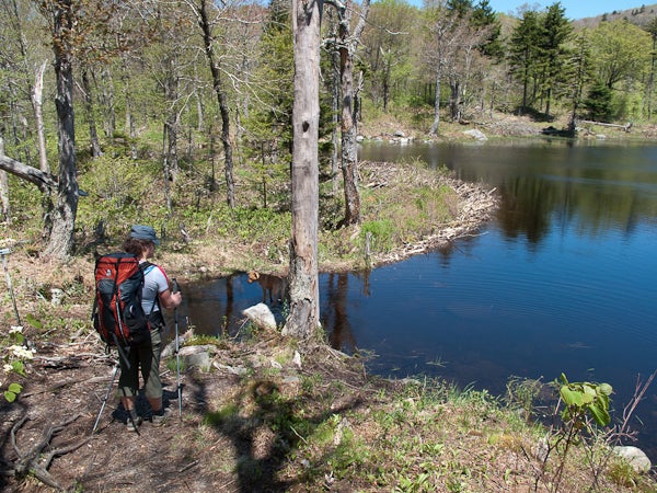 Beaver Pond None
