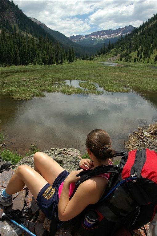 Beaver Pond None