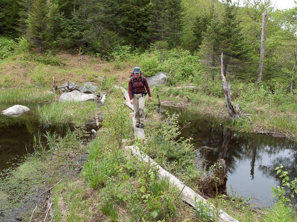 Beaver Pond Crossing None