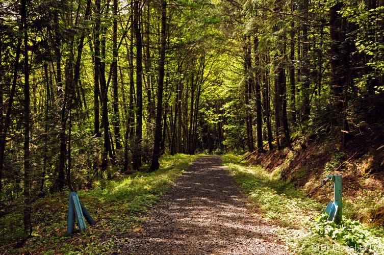 Beaver Pond Loop None