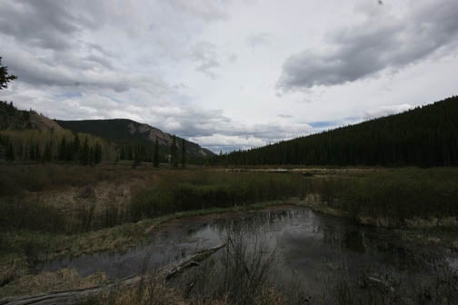 Beaver Ponds None