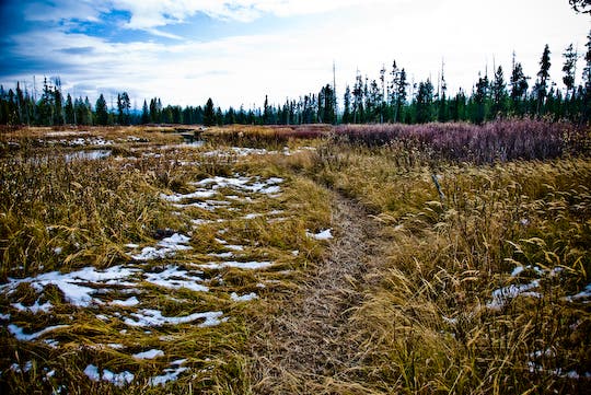 Bechler River Country None