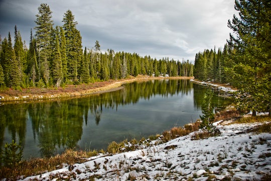 Bechler River Fly Fishing in Yellowstone National Park