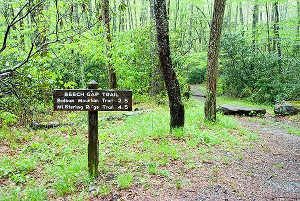 Beech Gap Trailhead None