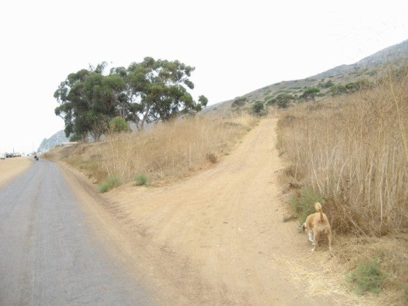 Begin Uphill None