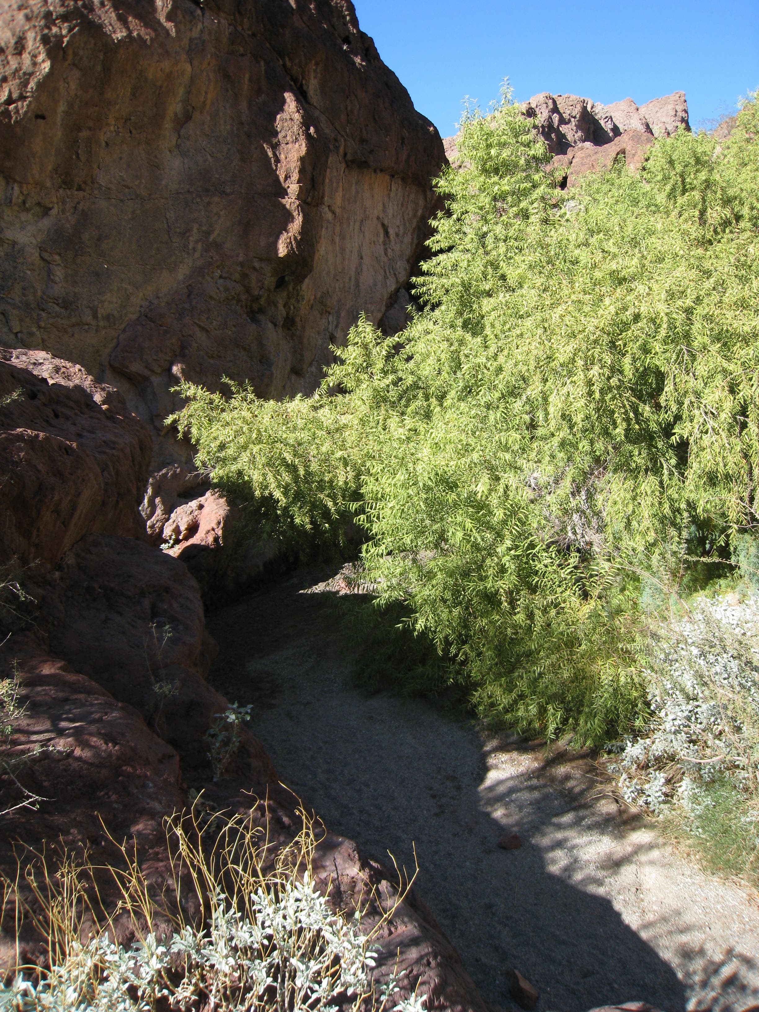 Beginning of Wash Back to Pools None