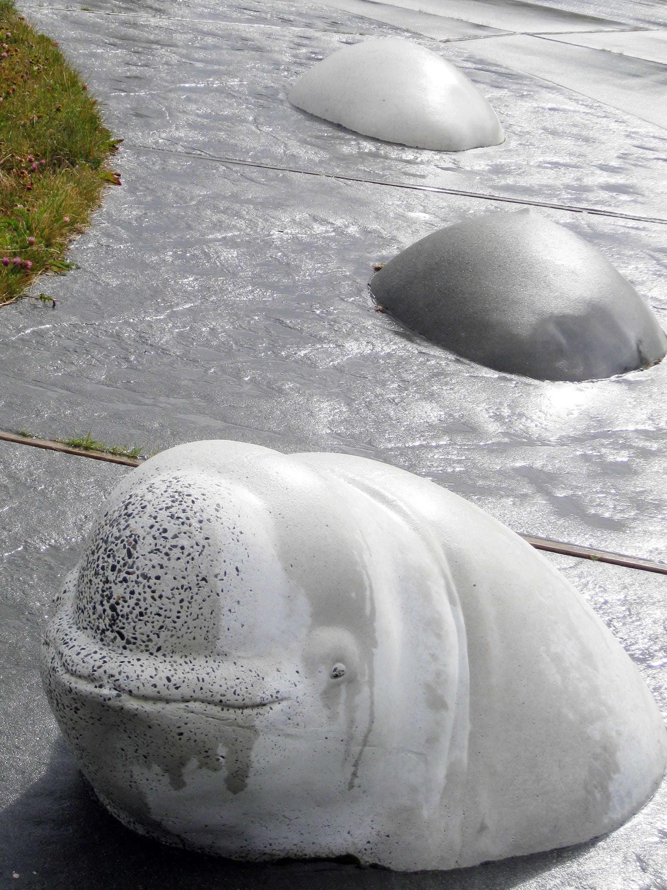 Beluga Whale Sculpture None