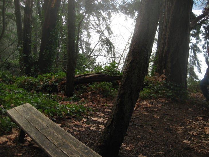 Bench None