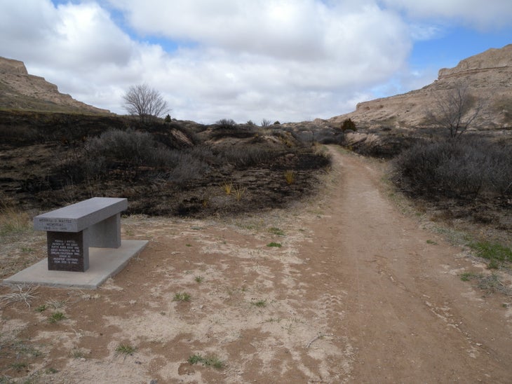 Bench None