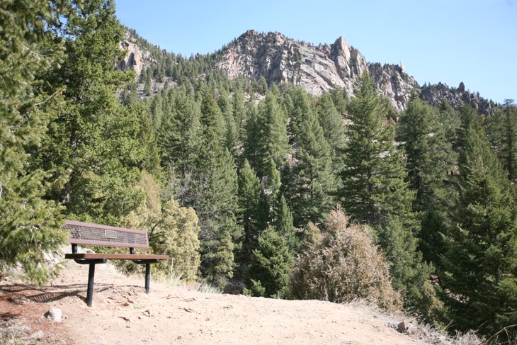 Bench with a view None