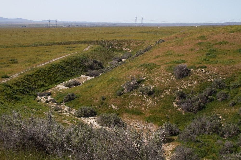 Bend in the Creek None